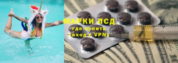 гидра Коряжма