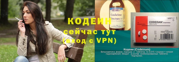 гидра Коряжма