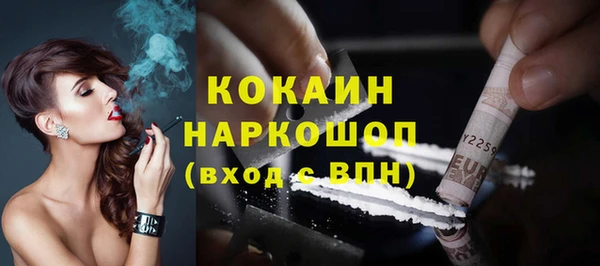 гидра Коряжма
