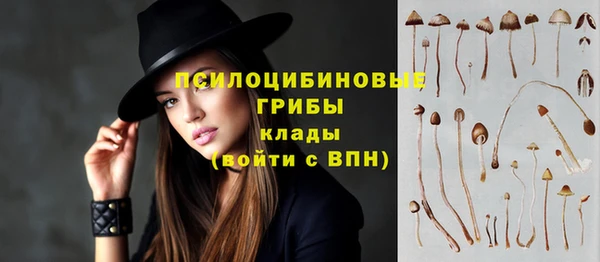 винт Корсаков
