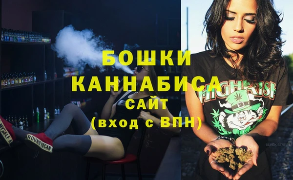 гидра Коряжма