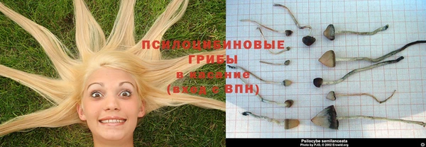 винт Корсаков