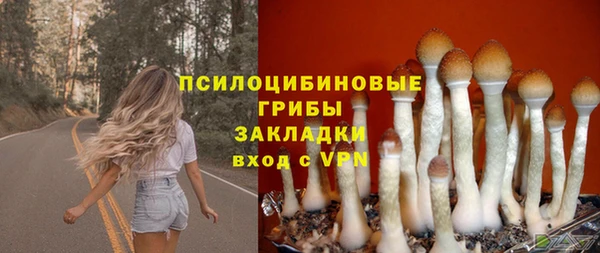 гидра Коряжма