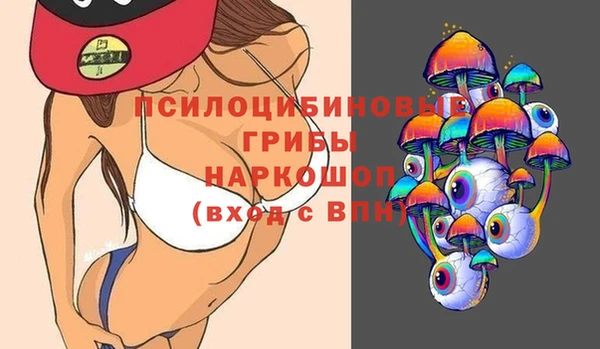 гидра Коряжма