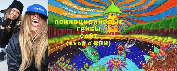 гидра Коряжма