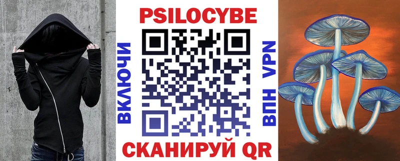 Галлюциногенные грибы Psilocybine cubensis  Медвежьегорск 